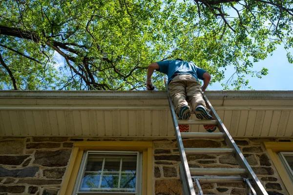 Expert Roof Maintenance Services for Modern Homes