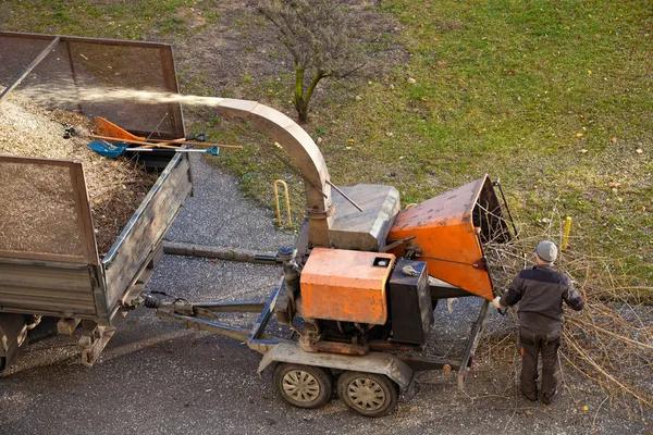 Tree Removal Service Mobile with Modern Equipment
