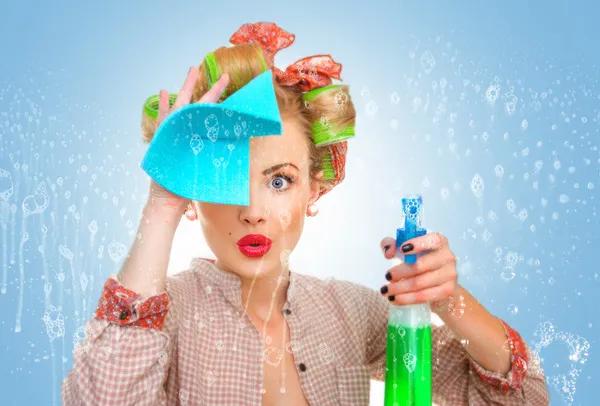 Local Window Cleaning Specialists in Plano